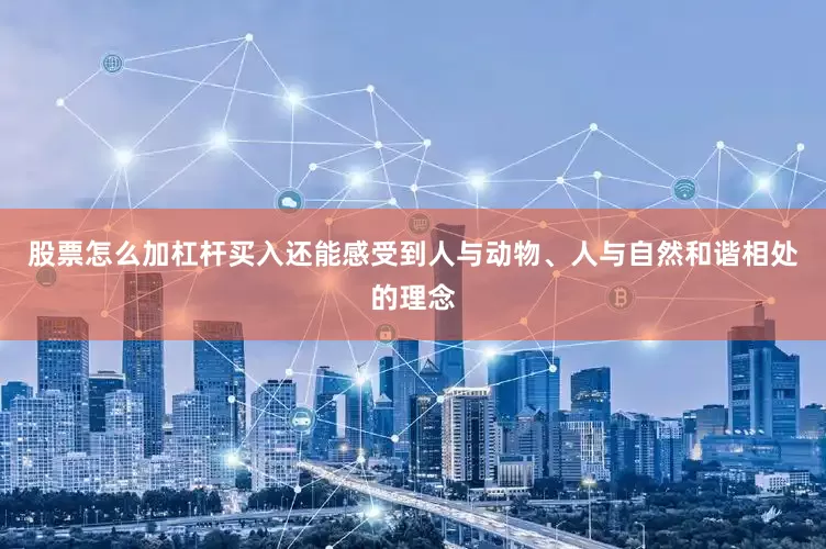 股票怎么加杠杆买入还能感受到人与动物、人与自然和谐相处的理念