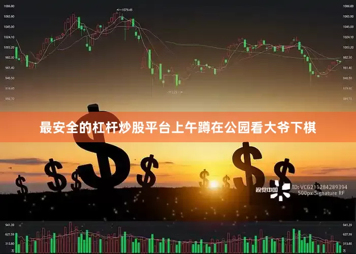 最安全的杠杆炒股平台上午蹲在公园看大爷下棋